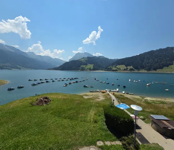 Wägitalersee (Foto: Nicole Russenberger) Wägitalersee (Foto: Nicole Russenberger)