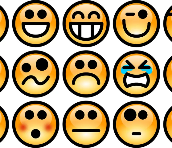 clker-free-vector-images-emotions-36365_1280 (Foto: pixabay) clker-free-vector-images-emotions-36365_1280 (Foto: pixabay)