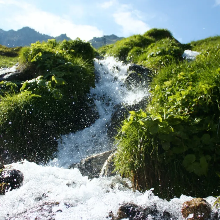 Quelle, frisches Wasser (Foto: Michael Hächler) Quelle, frisches Wasser (Foto: Michael Hächler)