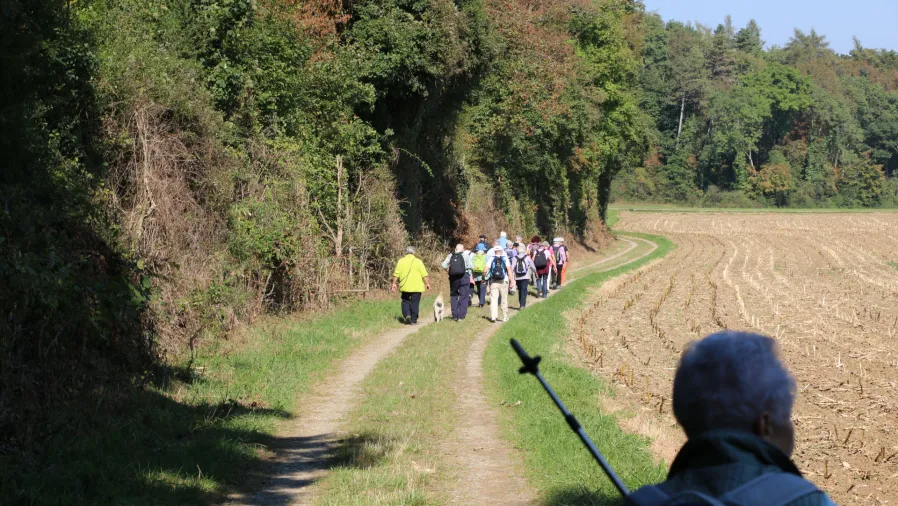 Hugenottenweg (Foto: Doris Brodbeck) Hugenottenweg (Foto: Doris Brodbeck)