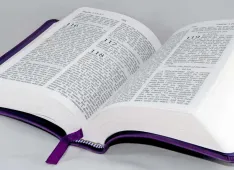 Bibel offen (Foto: Admin Steig)