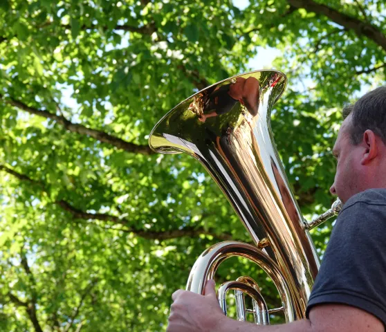 Grüne Musik (Foto: Werner Näf) Grüne Musik (Foto: Werner Näf)