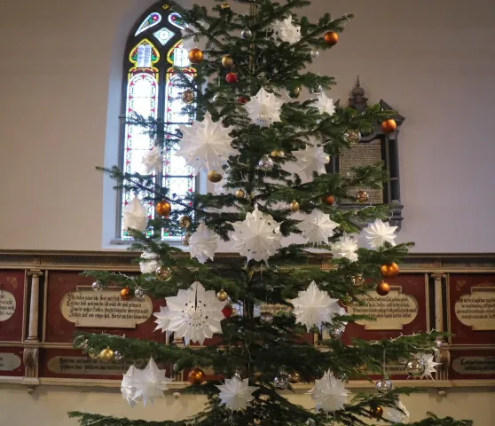 Weihnachtsbaum (Foto: Christoph Freitag)