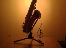 Saxophon-1 (Foto: Peter Vogelsanger)