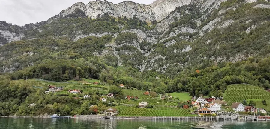 Screenshot 2026-03-19 135826 (Foto: Copyright © 2025 Andreas Staeger,) Screenshot 2026-03-19 135826 (Foto: Copyright © 2025 Andreas Staeger,)