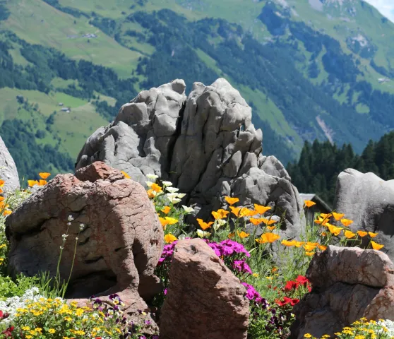 elsemargriet-sonntag-stein-3370802 (Foto: Pixabay) elsemargriet-sonntag-stein-3370802 (Foto: Pixabay)